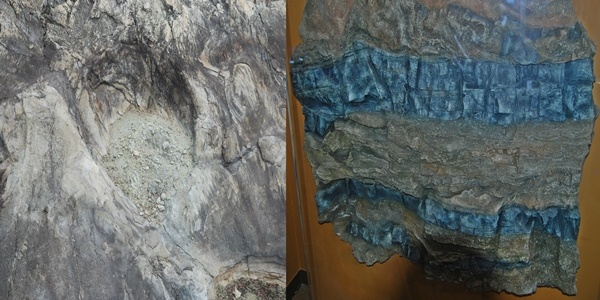 좌(해남 우항리 화석산지에서 발견된 크기 1m에 달하는 공룡 발자국 화석), 우(세계에서 유일한 뜯어내림 역편)