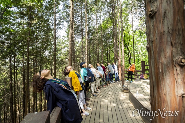 인천시는 인천대공원 치유숲을 2021년까지 산림청 지정 공립 '인천 치유의 숲'으로 확대할 계획이다.