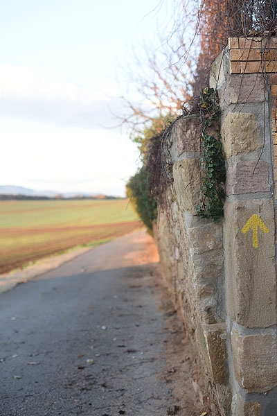 스페인 카미노 순례길에 있는 마을의 노랑 화살표.