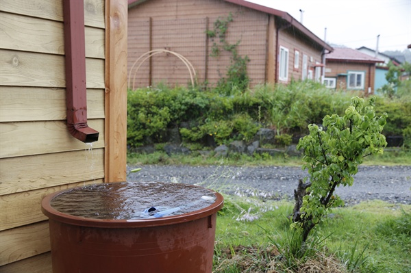 집집마다 설치돼 있는 빗물받이. 주민들은 이 빗물을 이용해 집 주변의 남새와 꽃을 가꾼다. 