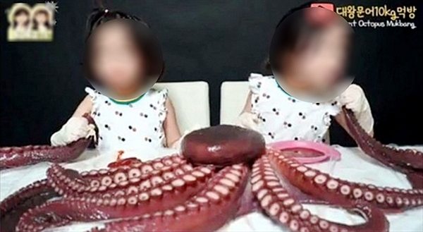 최근 부모가 6살 쌍둥이 자매에게 10kg 대왕문어를 통째로 먹이는 영상을 게재했다. 논란이 커지자 부모는 사과 후 영상을 삭제했다. 

