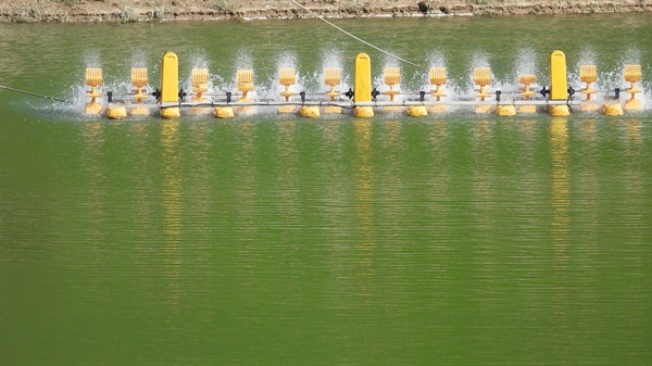 7월 31일 영주댐(본댐)에서 13km 상류에 있는 보조댐(유사조절지)의 녹조현상(폭기장치 가동).