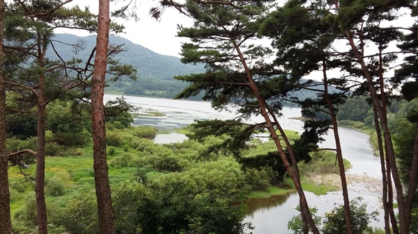  식영정에서 바라본 광주호의 모습. 노송들 사이로 성산호(광주호)가 시원하게 펼쳐 있다
