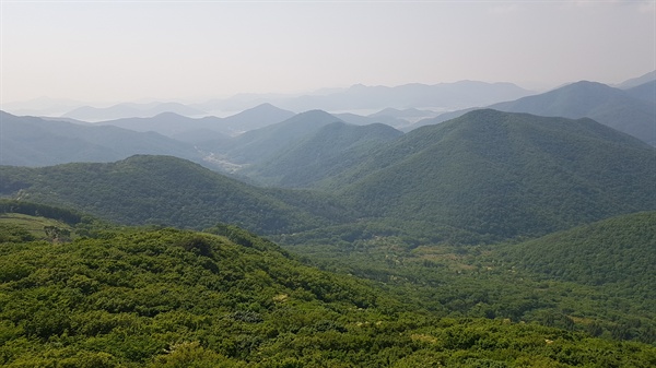 경남 거제의 국립난대수목원 대상지.