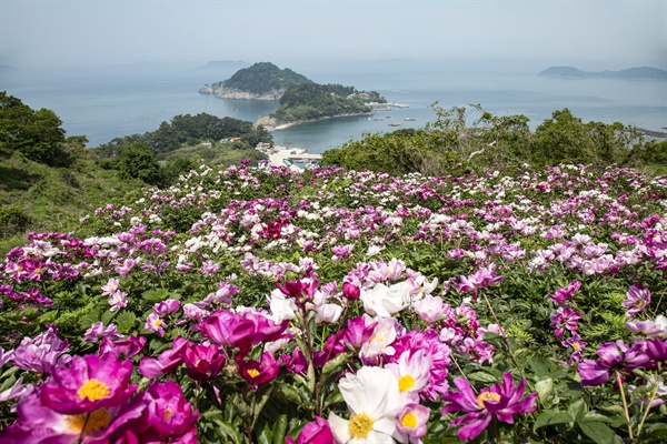 통영 연대도.