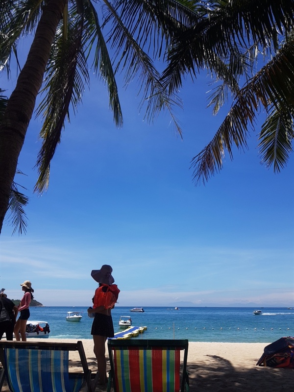  아무리 더워도 야자수 그늘에만 들어가면 시원한 베트남 다낭 참섬 일대 해변