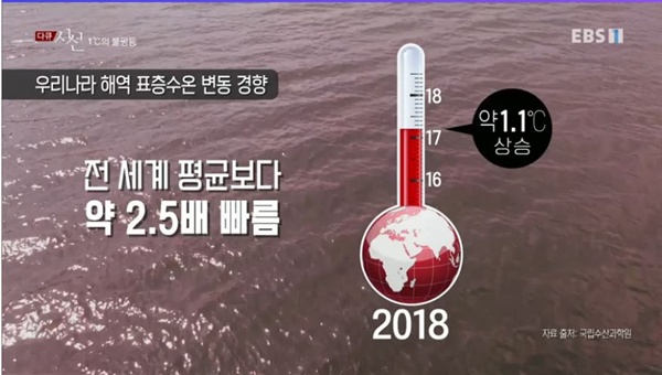  지난 7월 25일 방영된 EBS <다큐 시선> - '1°C의 불평등: 폭염이라는 이름의 재난' 편 중 한 장면