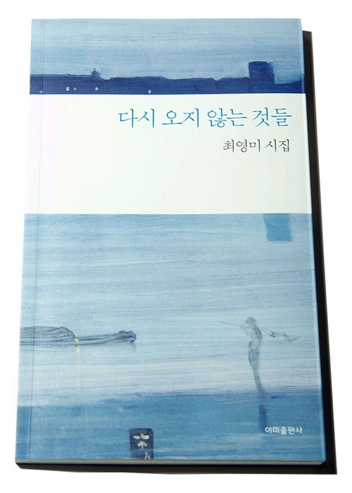 최영미의 여섯 번째 시집 <다시 오지 않는 것들>(이미출판사, 2019)