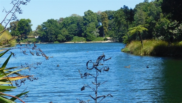 관광객이 많이 찾는 버지니아 호수(Virginia Lake) 공원