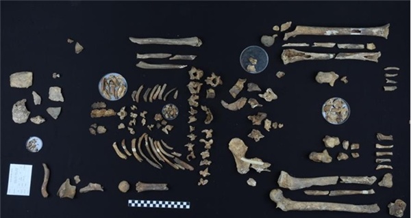 국방부가 지난 5월 30일 DMZ내 화살머리고지 일대에서 완전유해 형태로 발굴된 유해가 고 남궁 선 이등중사로 신원이 최종 확인됐다고 21일 밝혔다. 사진은 고 남궁 선 이등중사 완전 유해. 2019.8.21 