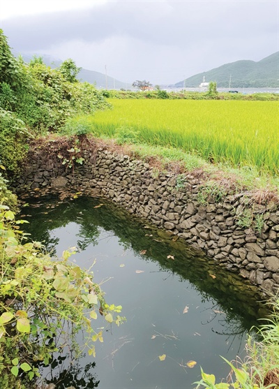 경남 고성군 거류면 화당리에 있는 둠벙.