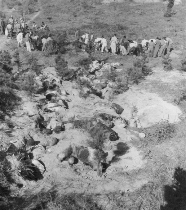 전주, 주민들이 대량 학살 암매장된 현장에서 시신을 파내고 있다(1950. 9. 29).
