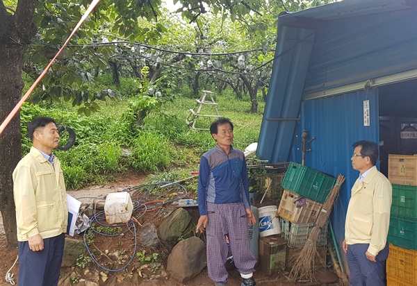 정재민 진주시 부시장은 4일 문산읍 배 수확 농가를 찾아 살펴보았다.