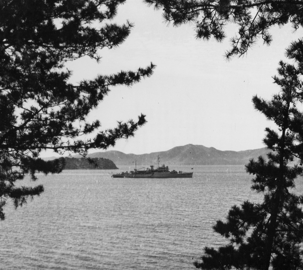 진해 앞바다에 정박 중인 미 해군 함정(1950. 10. 14.).