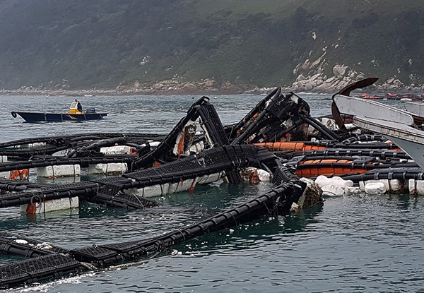 태풍 링링으로 전남 신안군 흑산도 바다에 있는 전복 및 우러가두리가 엿가락처럼 휘어지는 피해를 당했다.