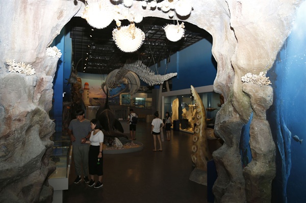해남땅끝해양자연사박물관의 전시관. 전시관에는 화석류와 어류, 상어류, 갑각류, 남극생물표본 등 1500여 종 5만6000여 점이 전시돼 있다. 바다의 생성과 바다생물의 다양성, 미래생명의 보고인 바다를 모두 엿볼 수 있다.