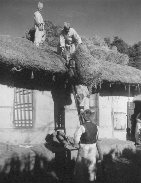 전쟁 중이지만 주민들이 초가지붕을 이고 있다(1950. 12. 24.).