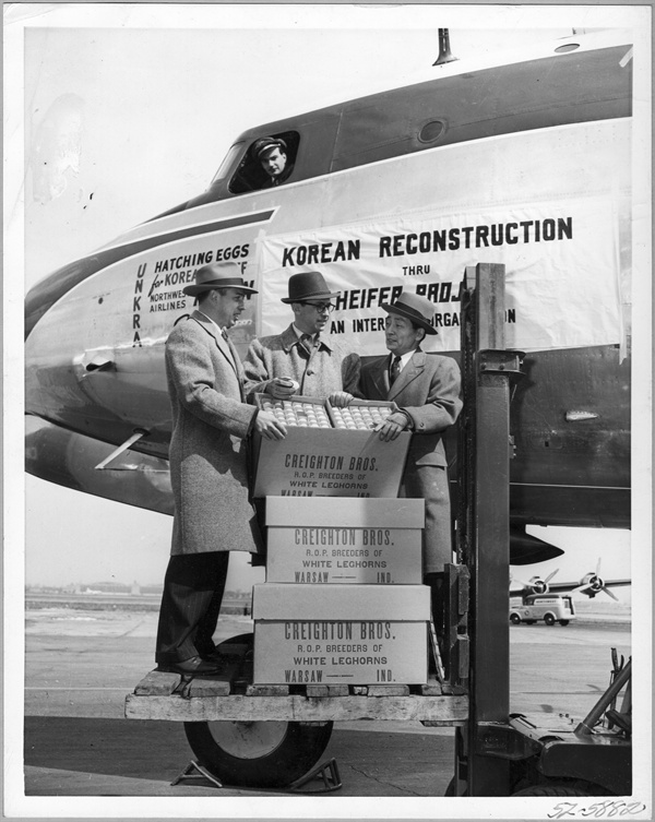 유엔 한국임시부흥단 한국 측 임병직 대표(오른쪽)가 미국 시카고에서 부화용 계란을 원조 받고 있다(1952. 4.). 