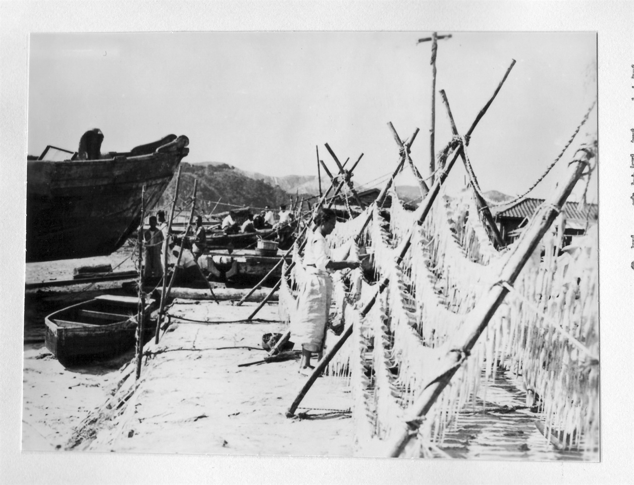 어촌마을에서 생선을 말리고 있다(1953.).