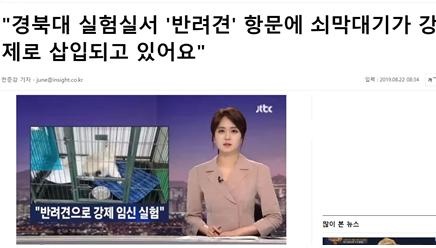 △JTBC 보도 복사해 자극적인 기사 생산한 인사이트 캡처