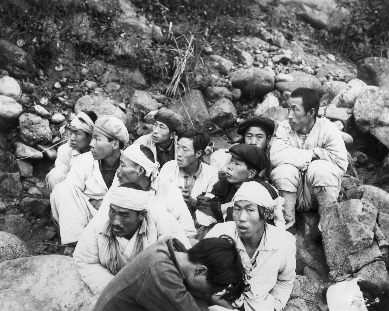 부역 혐의가 짙다며 체포된 주민들(1950. 11. 4.).
