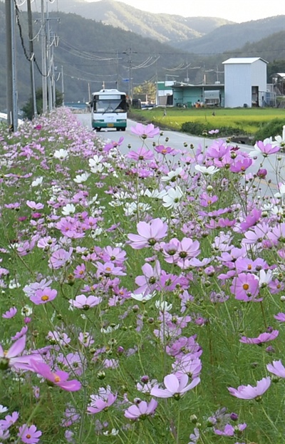 거창군 가북면 용암로의 도로.