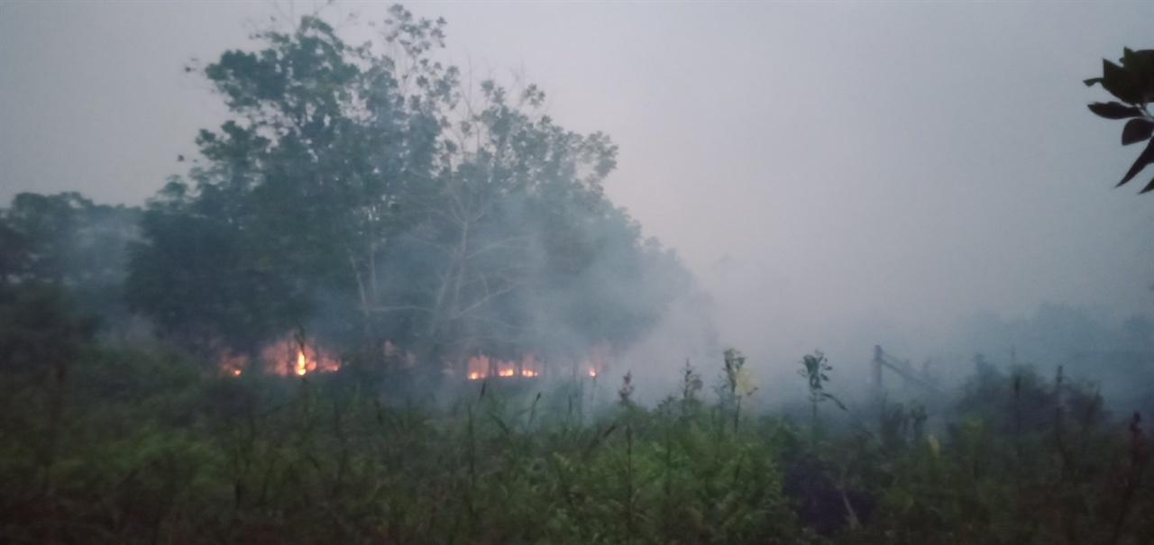 중부 칼리만탄 이탄지에서 발생한 산불 화재 지점