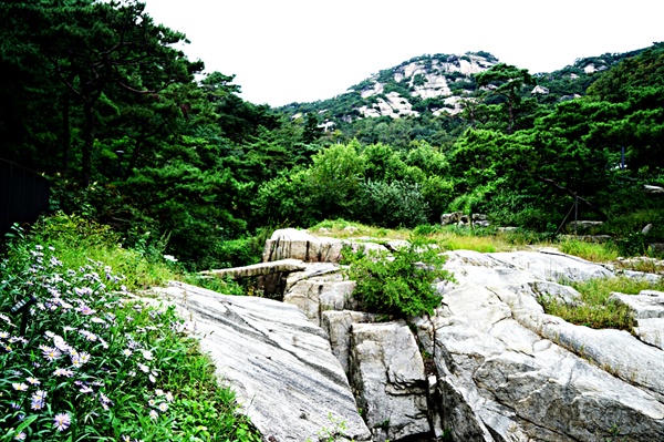 미술관에서 조금 올라가면 수성동계곡이 나온다.