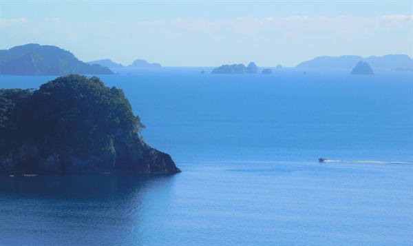 전망대에서 바라본 캐서트럴 코브(Catherdral Cove)의 전경