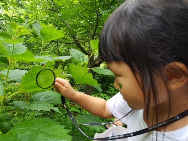  숲 속에서 나뭇잎를 관찰하는 아이.
광덕산환경교육센터는 다양하고 재미있는 환경교육을 연 수시로 운영하며 찾아가는 환경교육도 진행한다.