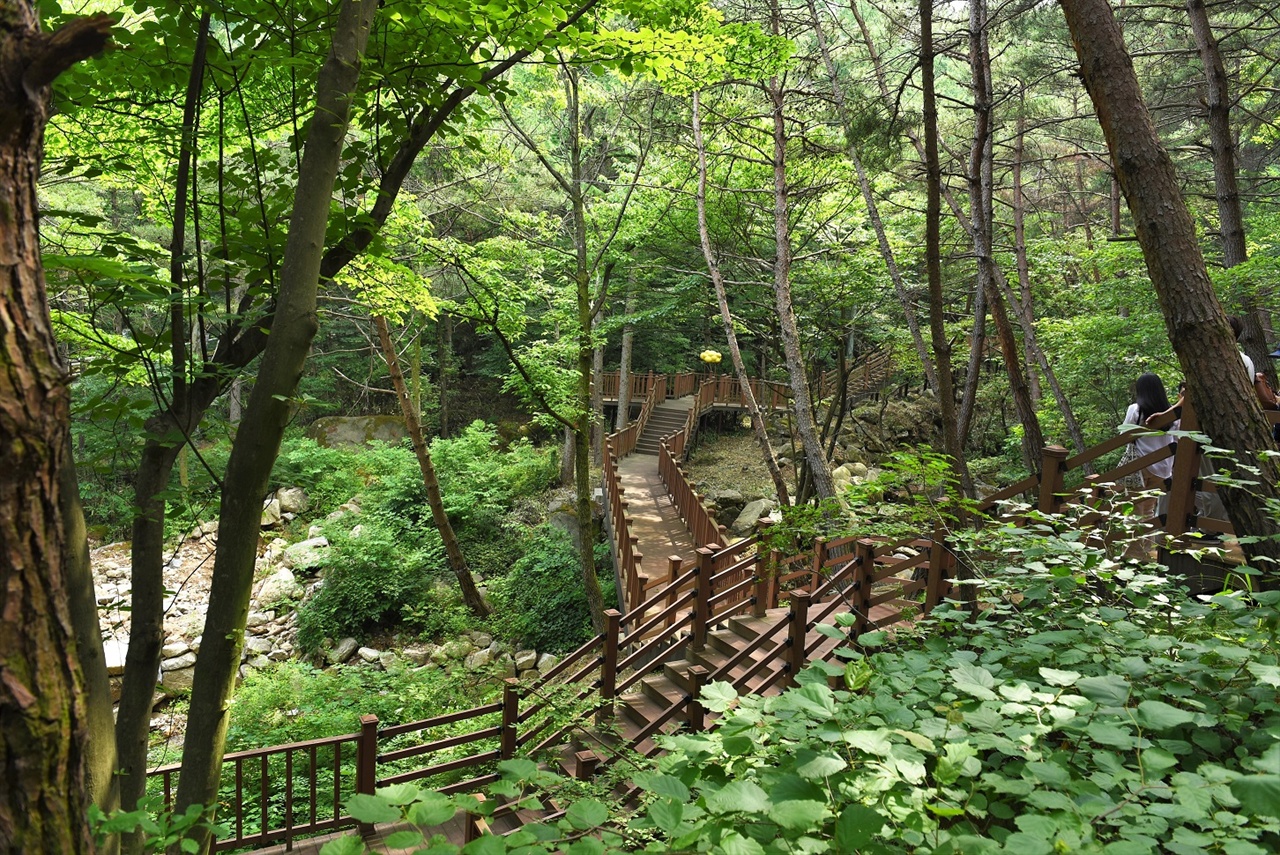 성큼 다가선 가을을 만끽할 수 있는 정견모주길.
