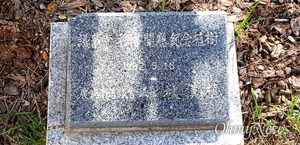 경남도의회 정문 쪽에 있는 소나무 기념식수의 표지석.