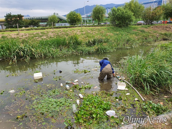 가시연이 발견된 낙동강 하구 생태공원의 주변으로, 27일 쓰레기가 많이 있다.