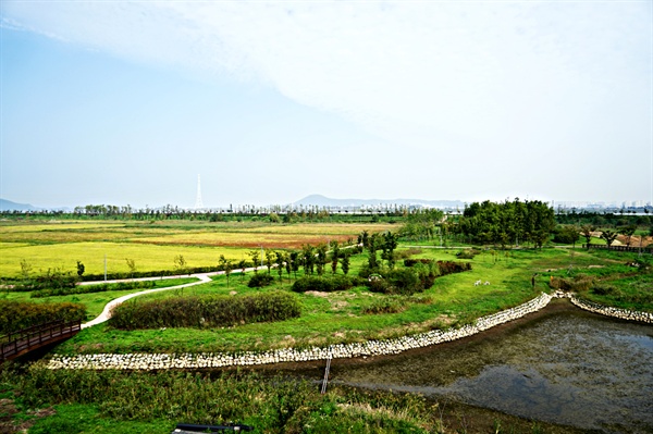 조망마루 카페에서 바라본 '김포 한강야생조류생태공원' 풍경