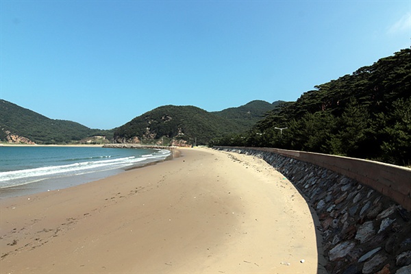 기린소나무가 울창하게 우거진 모래울해변 모습. 대청도로 유배당한 원나라 순제가 소나무림과 모래울해변이 보이는 이곳에서 산책하던 중 이곳 소나무를 바라보며 "아들을 가져다 주는 기린송이로구나!"라고 하였다. 중국에서는 기린송이 아들을 가지고 온다는 전설이 내려오고 있다. 