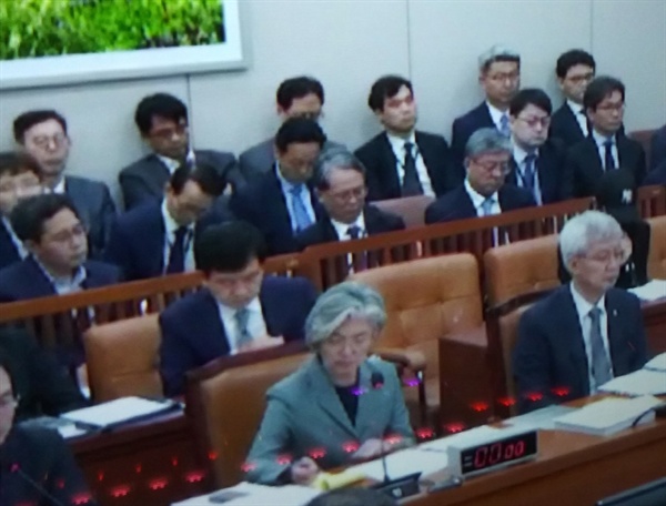 지난 2일 열린 외교통상부 국정감사에서 양현정씨(오른쪽 중앙 검은 모자 쓴 이)가 증언하고 있다