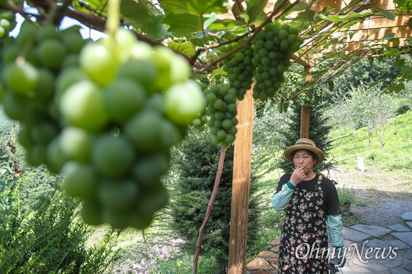 ‘내 마음의 외갓집’을 운영하는 김영미 대표는 유기농 텃밭과 과수원을 가꾸며 먹거리를 자급자족하고 있다.
