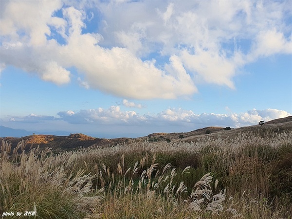 황매산 황매산