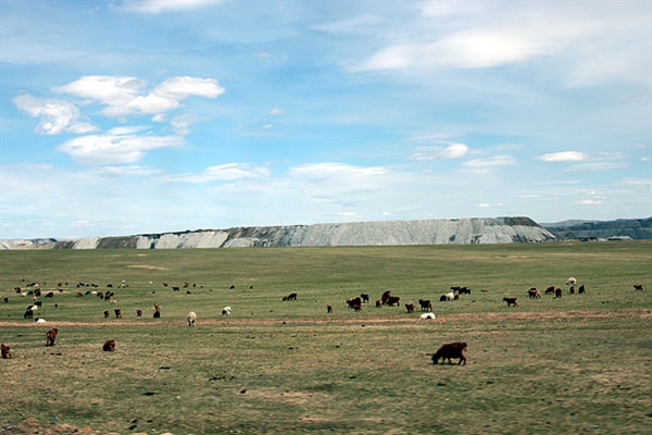 몽골초원에도 개발 바람이 불고있었다. 동물들이 풀뜯고 있는 뒤로 토사가 불쑥 솟아있는 부분은 석탄을 캐는 광산이다.  