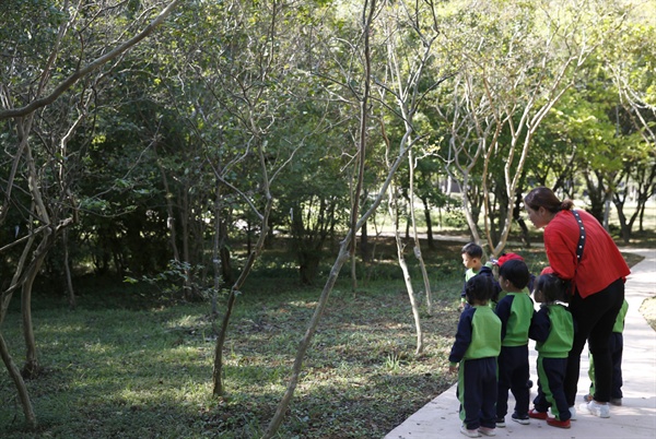 빛가람 치유의 숲을 찾은 유아들. 무장애 나눔숲길을 걷던 아이들이 청설모를 발견하고 한참동안 서서 바라보고 있다.