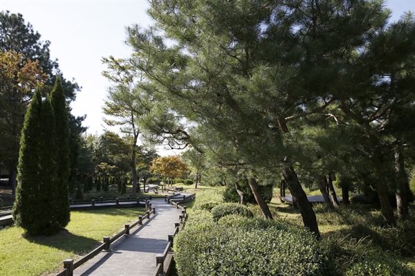  빛가람 치유의 숲의 무장애 나눔숲길. 나무와 나무 사이로 나무널판이 깔려져 있어 휠체어나 유모차도 부담없이 다닐 수 있다.