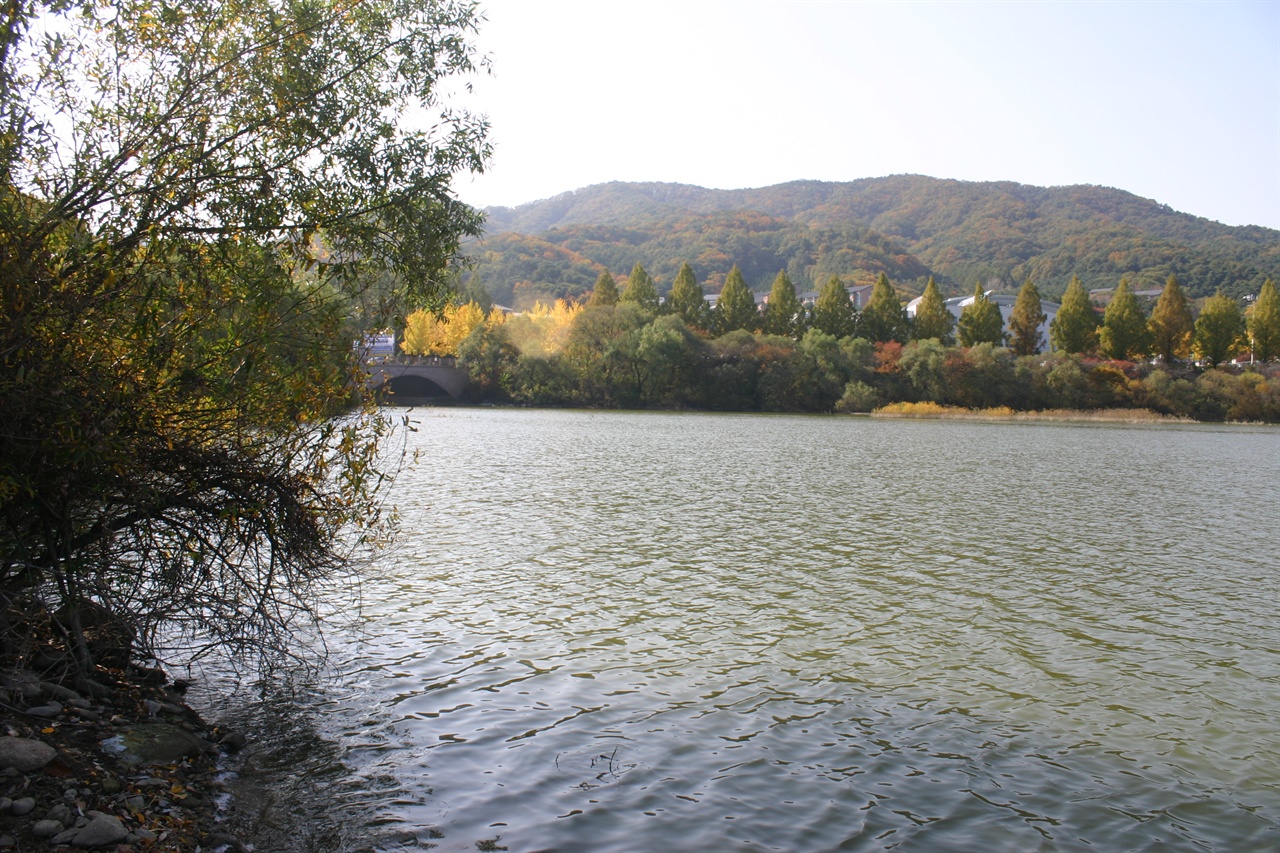 매지리 연세대 호수의 가을 풍경.