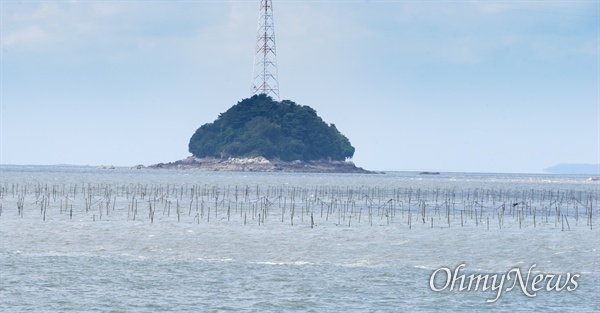  인천 장봉도의 바다 김 양식.