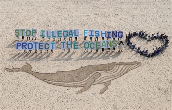 'Stop Illegal Fishing Protect The Oceans (불법 어업 그만, 바다를 보호해 주세요)'