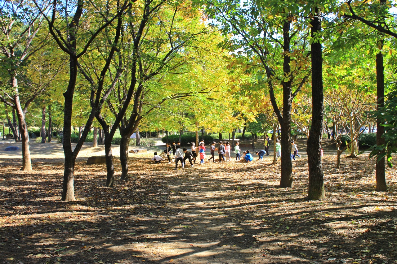 경주 흥무공원 단풍나무 아래에서  즐겁게 뛰노는 초등학교 학생들의 모습