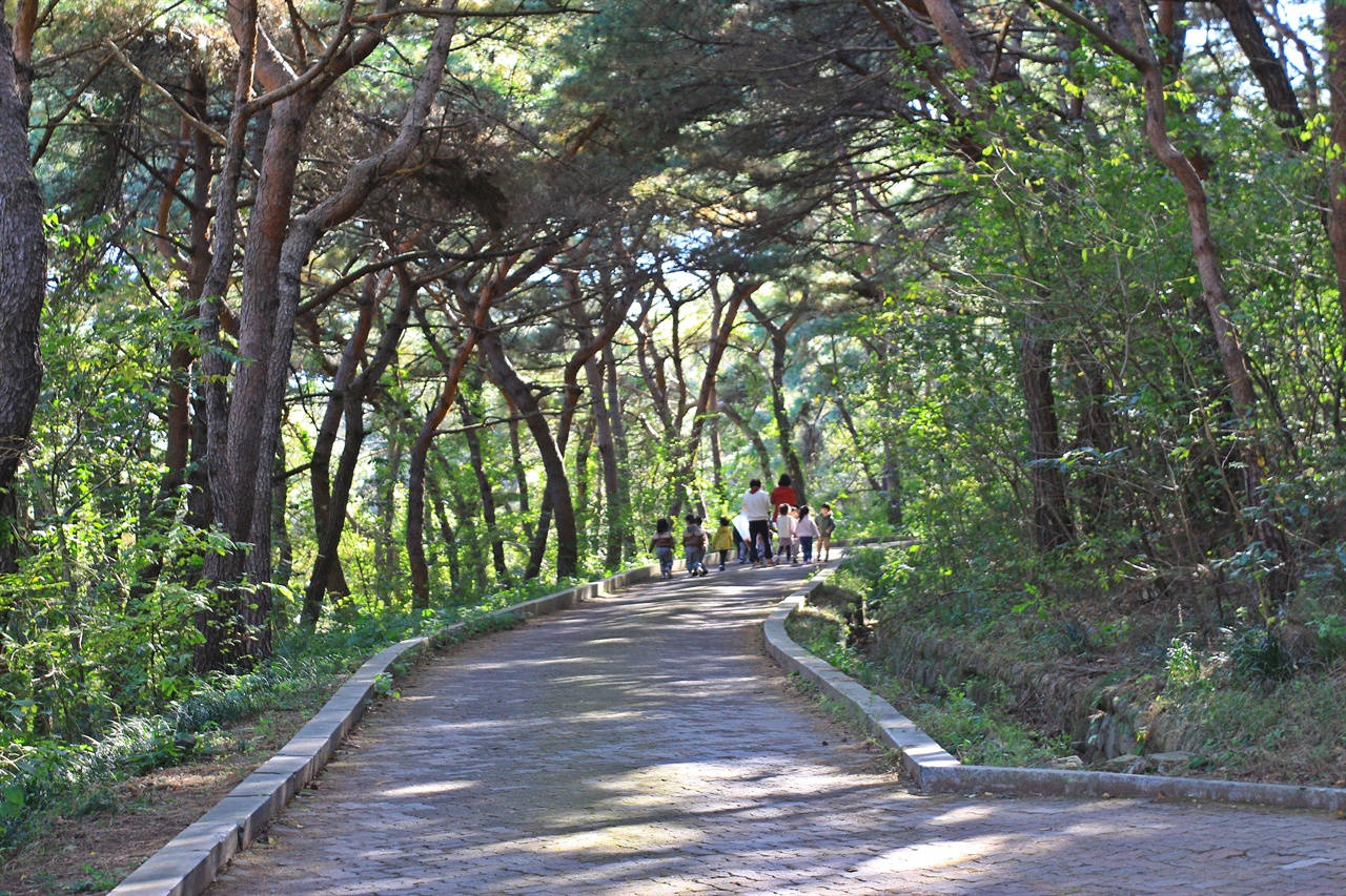 경주 흥무공원 주변 산책로에서 선생님과 함께 즐거운 시간을 보내는 어린이집 유아들 모습