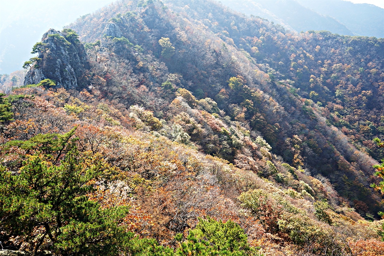 자연성릉을 지나며 바라본 단풍