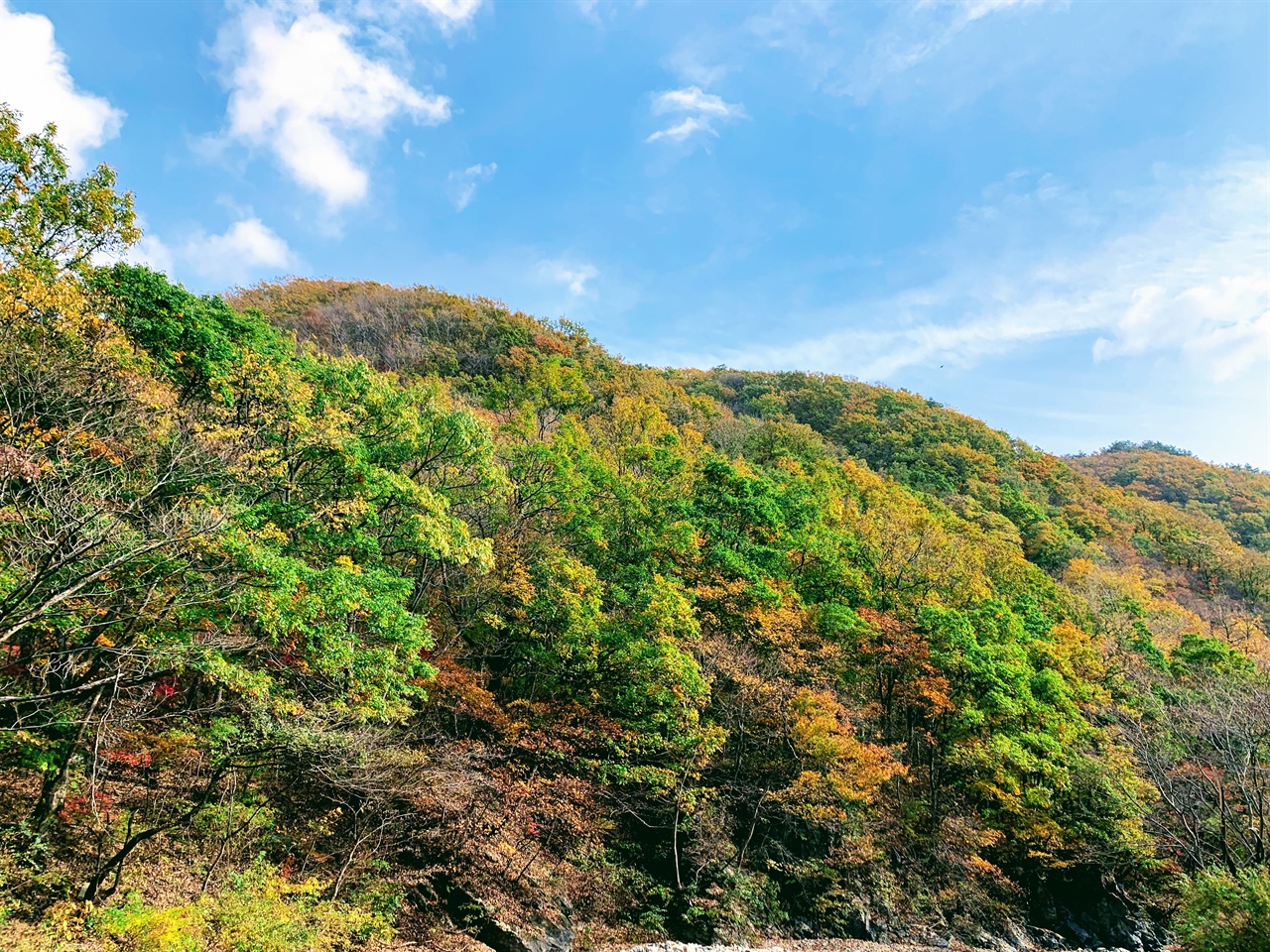 가을하늘 아래로 울긋불긋 각양 각색의 색깔이 펼쳐진 가을산이 화려합니다. 