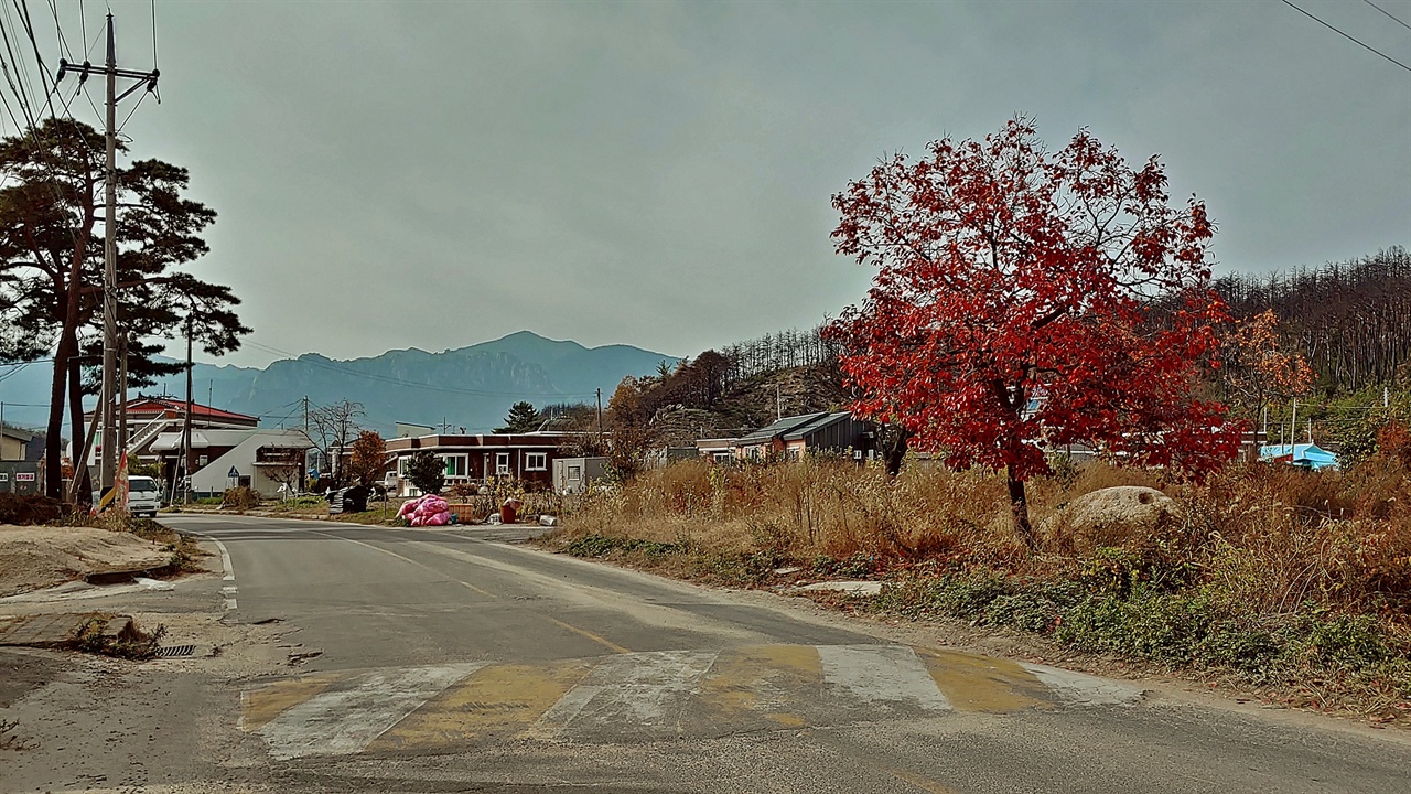 강원도 산불 4월 4일 온 마을을 공포에 떨게 했던 산불이 휩쓸고 지나간 마을에도 가을은 깊었다.