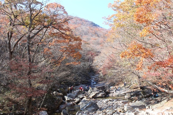 지리산 피아골 계곡은 마음 쉼이 있는 곳이더군요.